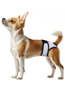 Collar Гигиенические трусы для собак на липучке