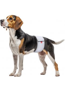 Collar Гигиенические трусы для кобелей на липучке