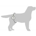 Изображение 1 - Collar Гигиенические трусы для кобелей на липучке