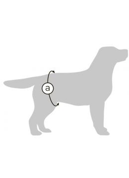 Collar Гигиенические трусы для кобелей на липучке