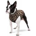 Изображение 1 - Collar Waudog clothes Курточка для собак цвет леопард