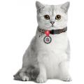 Изображение 1 - Collar WauDog Nylon з qr паспортом ошейник для котов цвет леопард