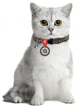 Collar WauDog Nylon з qr паспортом ошейник для котов цвет леопард