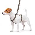 Изображение 1 - Collar WauDog Nylon з qr паспортом анатомическая шлея в цвете леопард