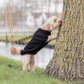 Изображение 1 - Trixie Pullover Kenton Пуловер цвет черный