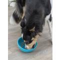 Изображение 1 - Trixie Lick’n'Snack Bowl Чаша для лизания
