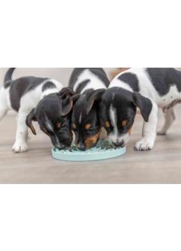 Trixie Junior Licking Plate Миска медленного кормления для щенков