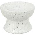 Изображение 1 - Trixie Ceramic Bowl миска рельефная