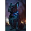 Изображение 1 - Collar WauDog Led Nasa21 ошейник с подсветкой