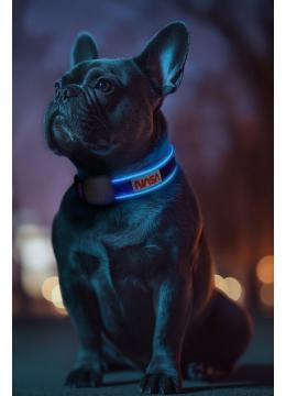 Collar WauDog Led Nasa21 ошейник с подсветкой