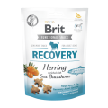Изображение 1 - Brit Care Dog Functional Snack Recovery Herring Сельдь и облепихой