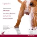 Изображение 1 - Bayer Advantix для собак до 4 кг