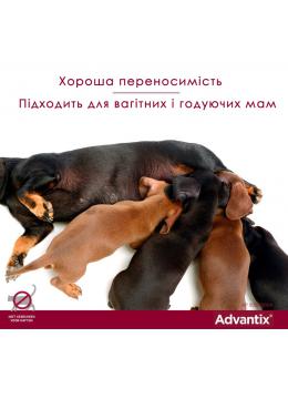 Bayer Advantix для собак до 4 кг