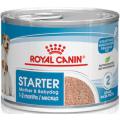 Изображение 1 - Royal Canin Starter Mousse Canine