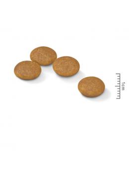 Royal Canin Mini Dermacomfort