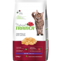 Изображение 1 - Trainer Natural Mature Cat