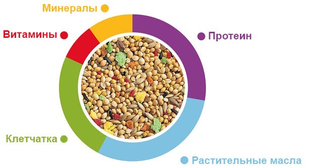 Padovan Grandmix Esotici