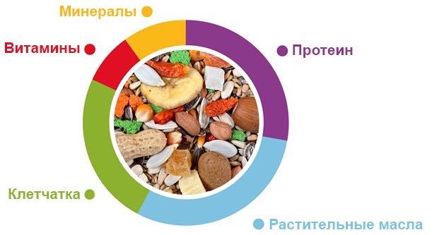 Padovan Grandmix Pappagalli