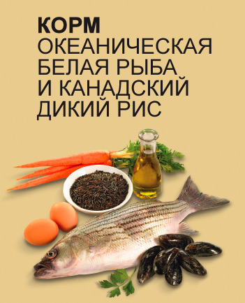 Преимущества Pronature Holistic Cat Oceanic White Fish & Wild Rice